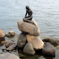 DSC02401